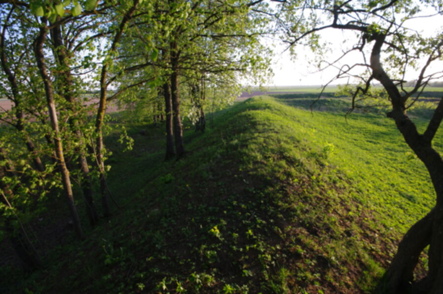 Picture 27 of Biliūnai